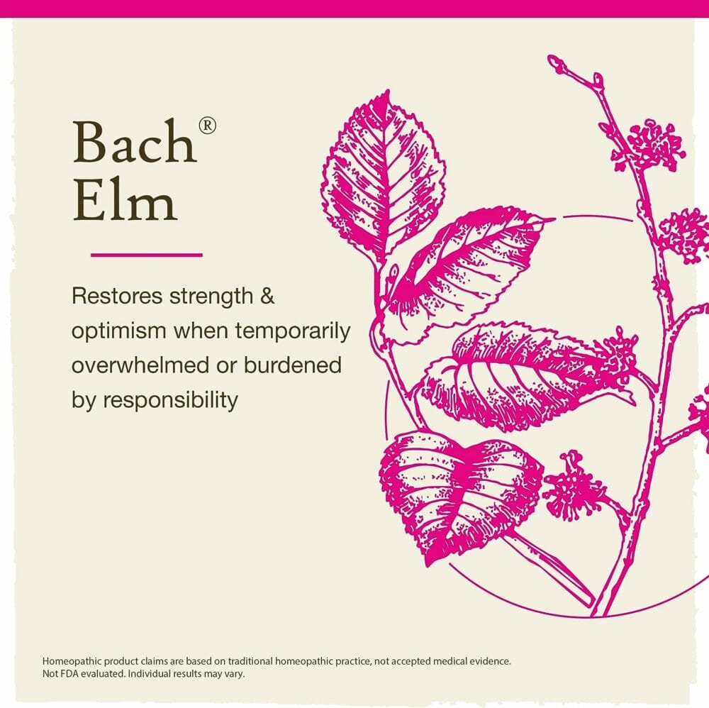 Bach Original Flower Remedies, Elm for Efficiency  Self-assurance, Natural Homeopathic Flower Essence, Holistic Wellness, Vegan, 20mL Dropper