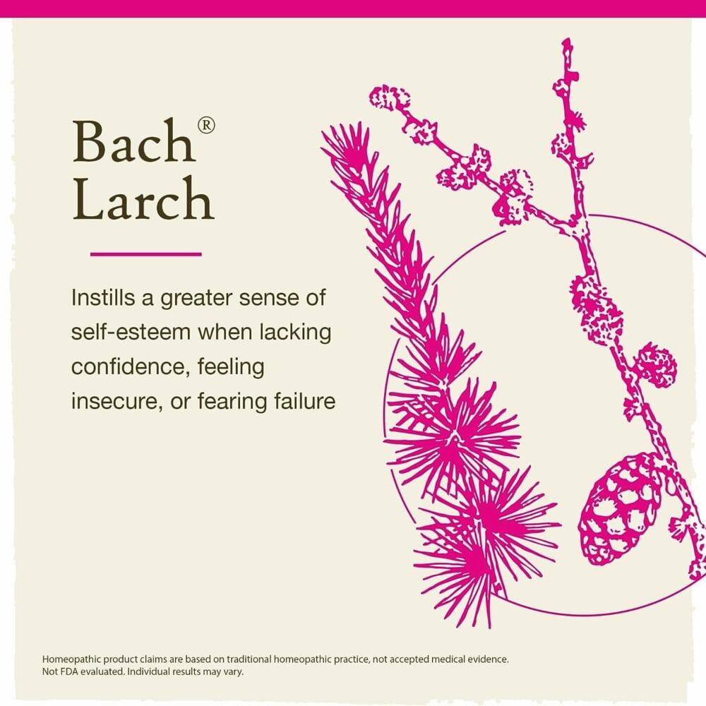 Bach Original Flower Remedies, Larch for Confidence (Non-Alcohol Formula), Natural Homeopathic Flower Essence, Holistic Wellness and Stress Relief, Vegan, 10mL Dropper