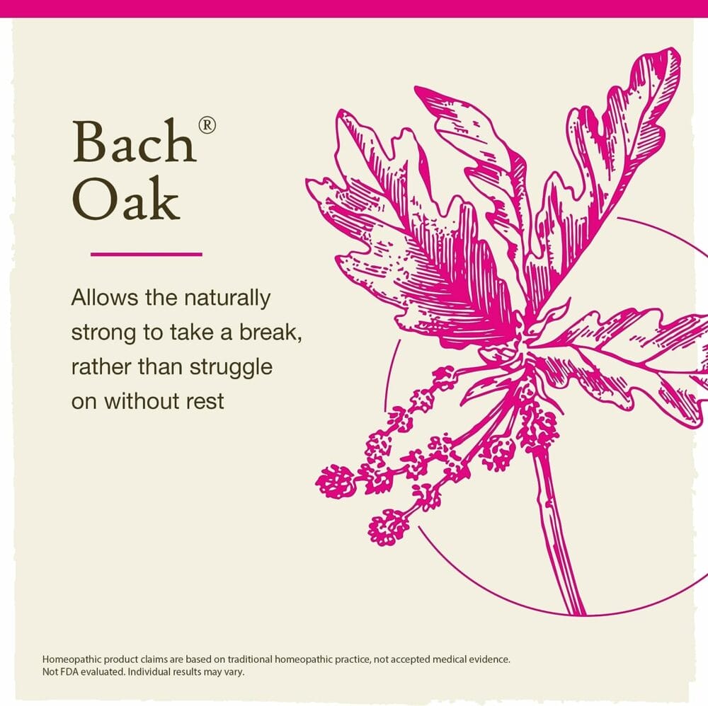 Bach Original Flower Remedies, Oak for Endurance and Strength, Natural Homeopathic Flower Essence, Holistic Wellness, Vegan, 20mL Dropper