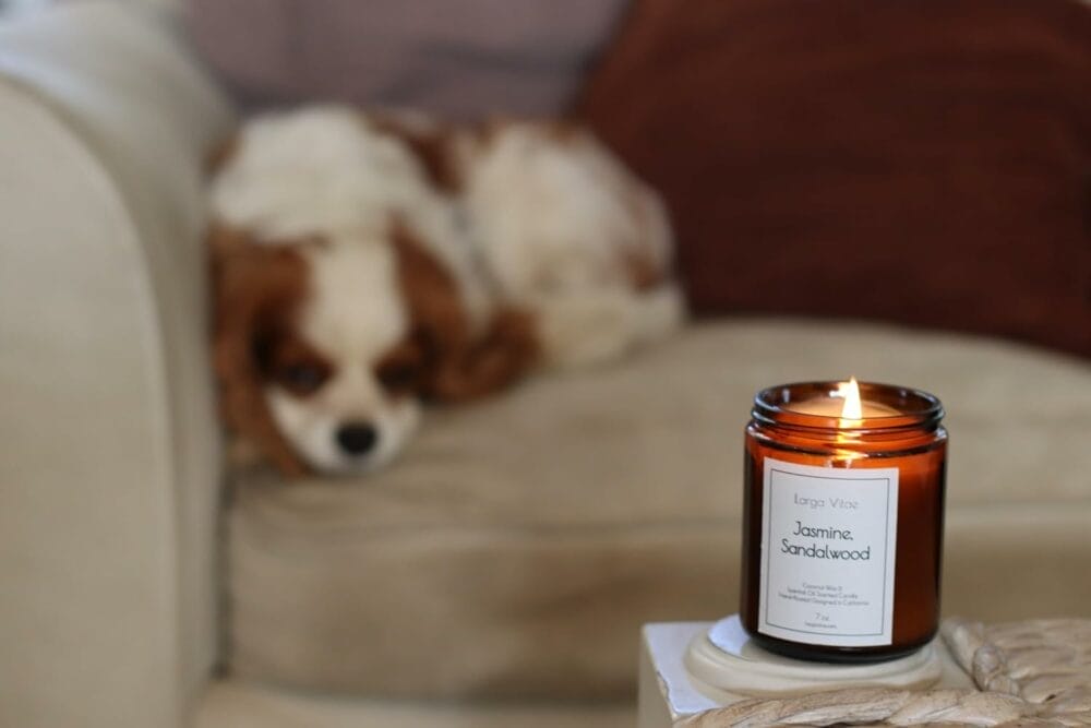 All-Natural Pine, Cypress, Cedarwood Aromatherapy Essential Oil Candle, People Pets Safe, Pure Sustainable Organic Vegan Coconut Wax, Allergy Friendly, Non Toxic, Zero Waste, Clean, Slow Burning All-Natural Pine, Cypress, Cedarwood Aromatherapy Essential Oil Candle, People Pets Safe, Pure Sustainable Organic Vegan Coconut Wax, Allergy Friendly, Non Toxic, Zero Waste, Clean, Slow Burning