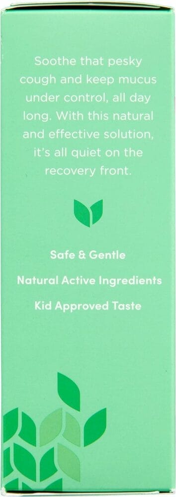 Hylands Naturals Kids Cough  Mucus Daytime, Kids Cough Medicine for ages 2-12, Grape Flavor, Natural Relief of Cough, Runny Nose, Mucus  Congestion, 4 Ounces Hylands Naturals Kids Cough  Mucus Daytime, Kids Cough Medicine for ages 2-12, Grape Flavor, Natural Relief of Cough, Runny Nose, Mucus  Congestion, 4 Ounces