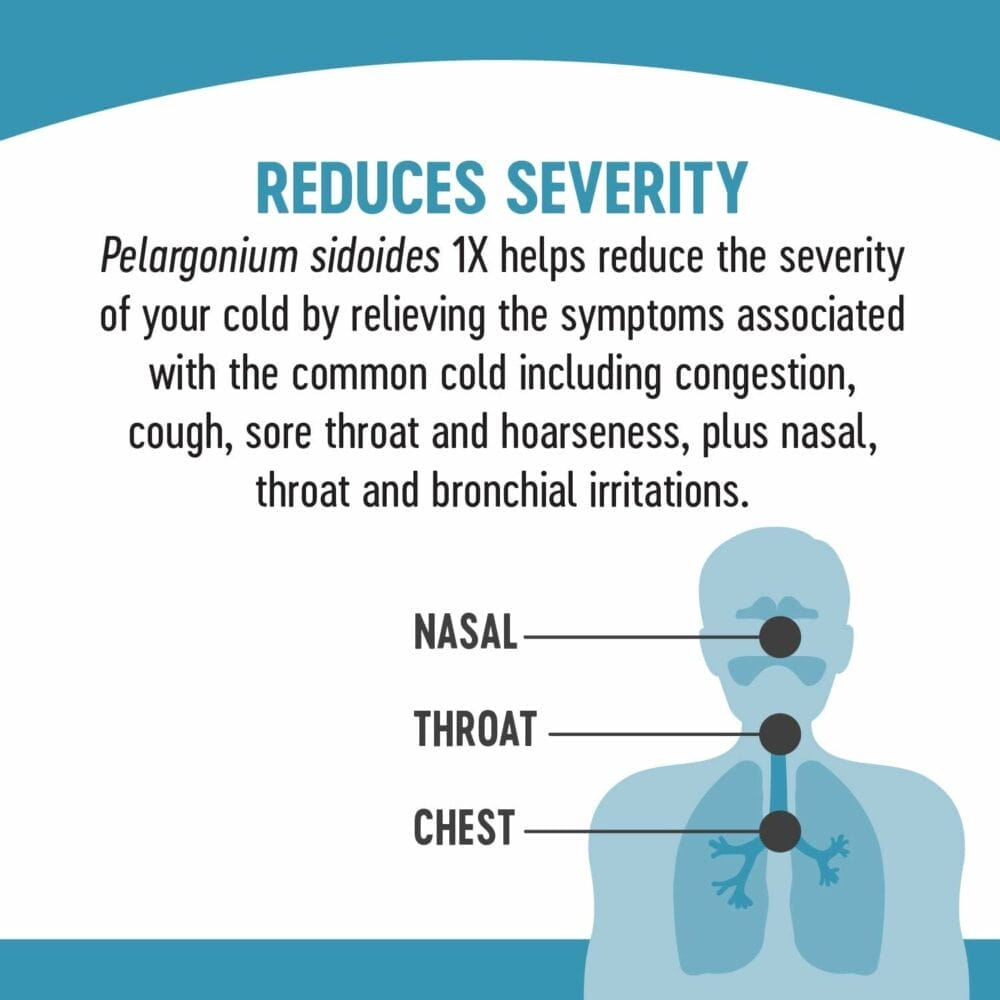 Natures Way Umcka ColdCare Day+Night Homeopathic, Shortens Colds, Sore Throat, Cough, and Congestion, Phenylephrine Free, Lemon Honey Flavors, 12 Packets Hot Drink Mixes Natures Way Umcka ColdCare Day+Night Homeopathic, Shortens Colds, Sore Throat, Cough, and Congestion, Phenylephrine Free, Lemon Honey Flavors, 12 Packets Hot Drink Mixes